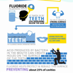 How Fluoride Works